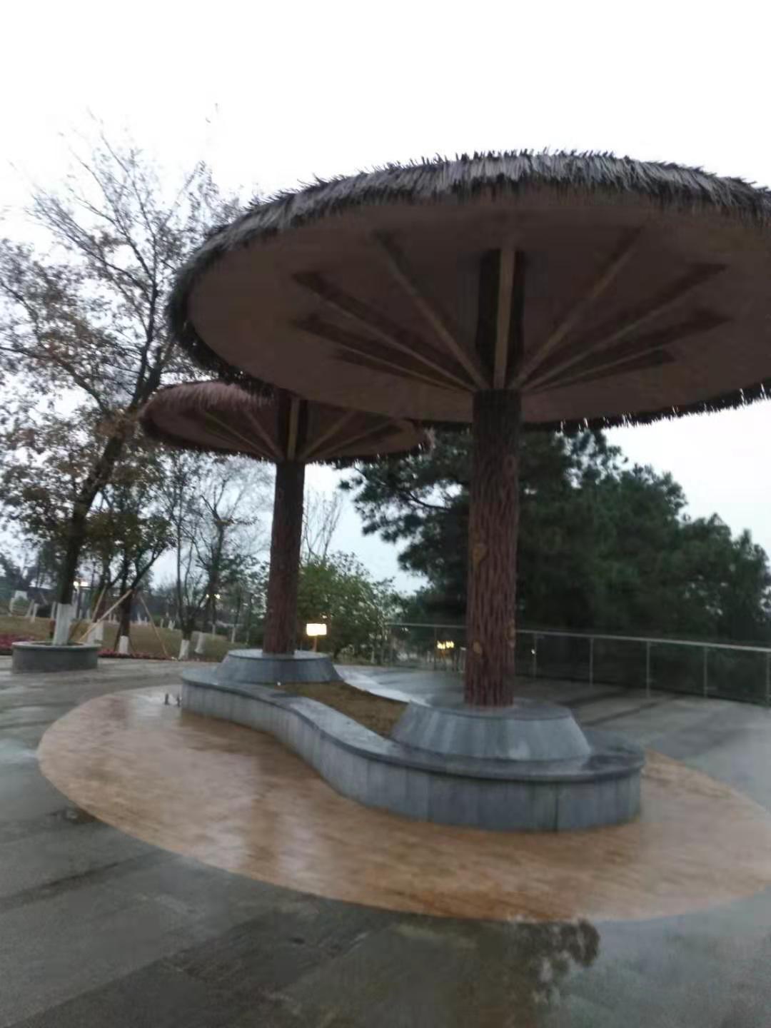 1574046941364220.jpg 1 (24).jpg