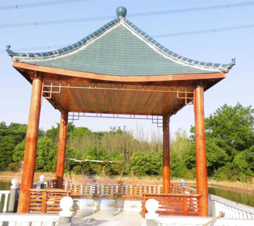 1573782590969936.jpg 1 (1).jpg