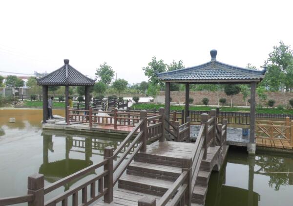 1573782714130653.jpg 1 (6).jpg